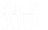Pictor CHIFU Vasilica